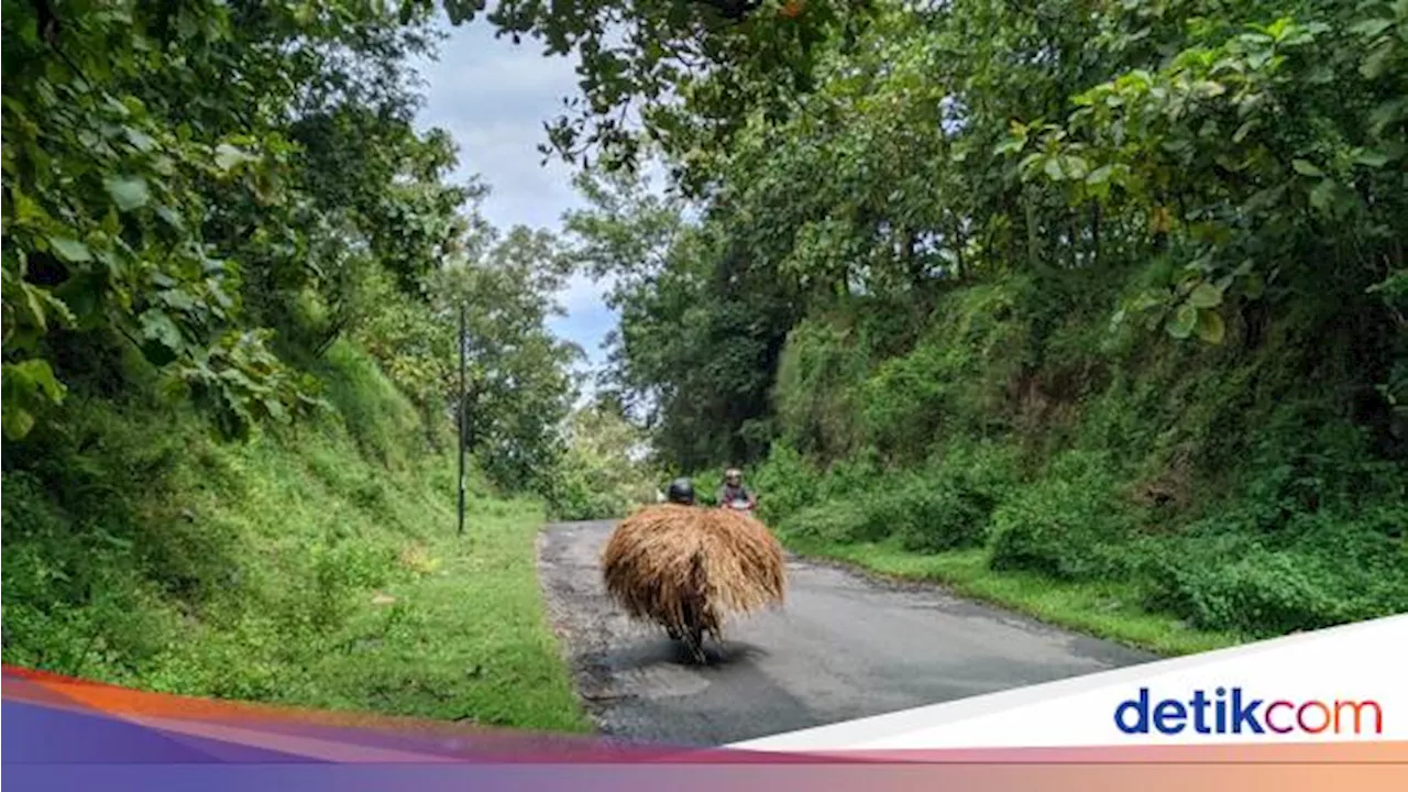 Mitos Gunung Pegat Ponorogo Dipercaya Bisa Bikin Cerai Pengantin Baru