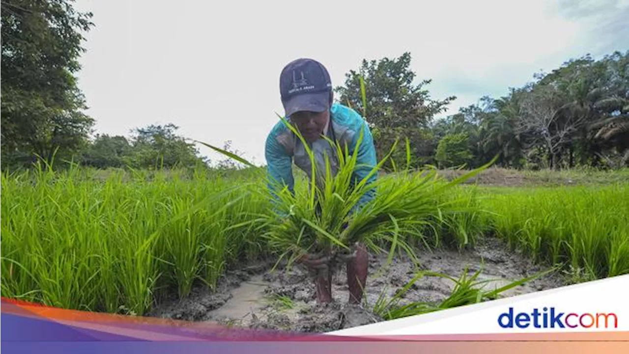 Cara Pupuk Indonesia Dorong Ekosistem Pertanian Terintegrasi