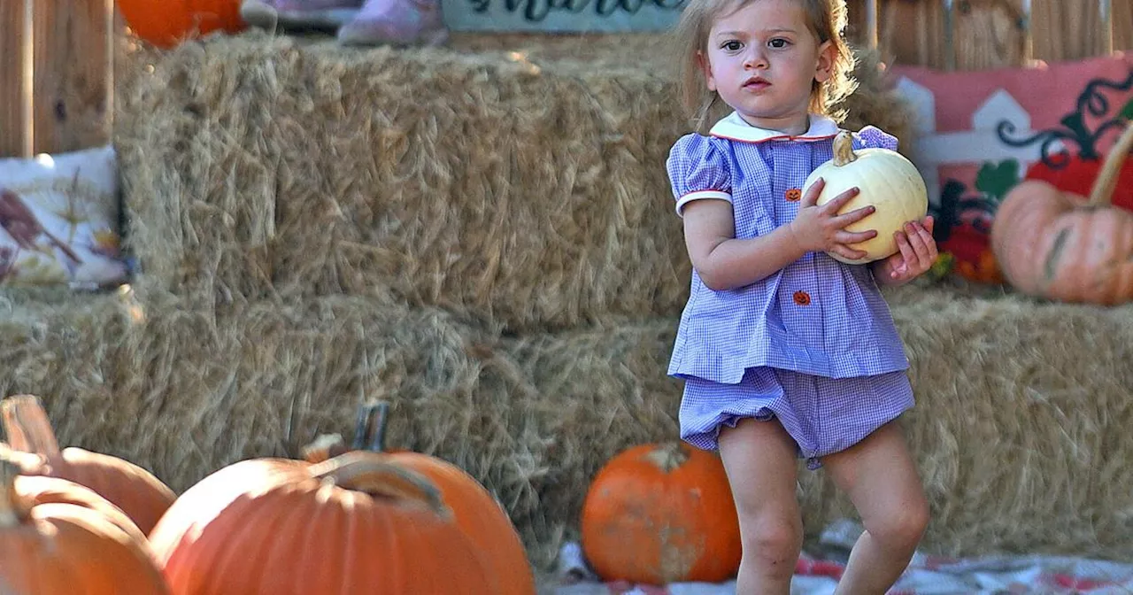 October in the Wiregrass is full of fall fun and spooky activities