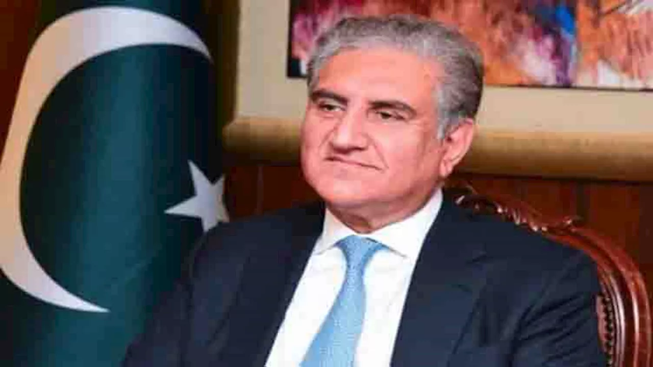 Amendment in constitution without consensus mustn't be made, Qureshi urges Bilawal