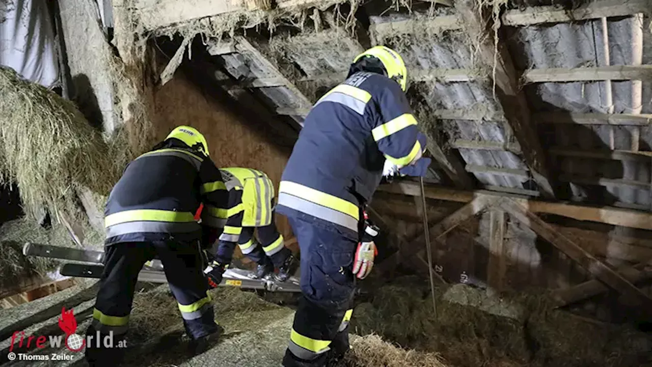 Feuerwehr rettet Heustadel durch schnelles Handeln