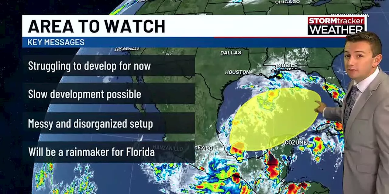 Rain moves in overnight, but we dry out for the weekend; watching possible system in the Gulf