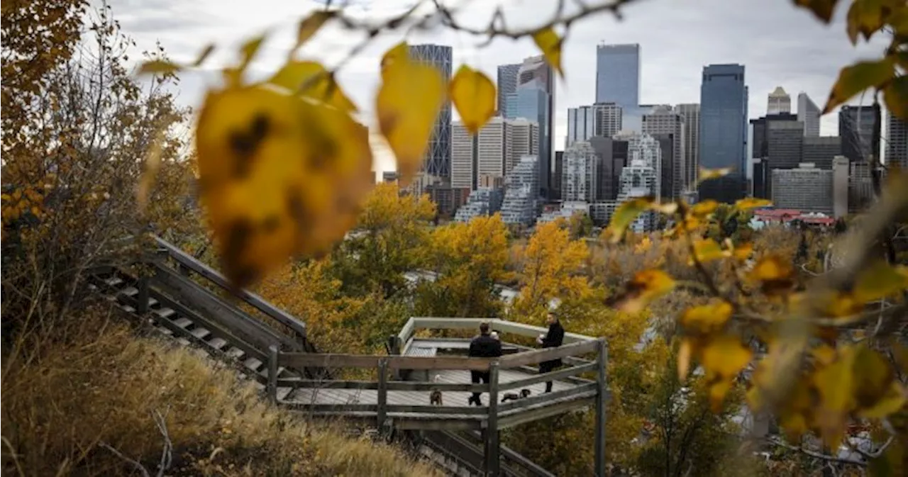 Quality of life survey sheds light on ‘people in peril’: Calgary Foundation