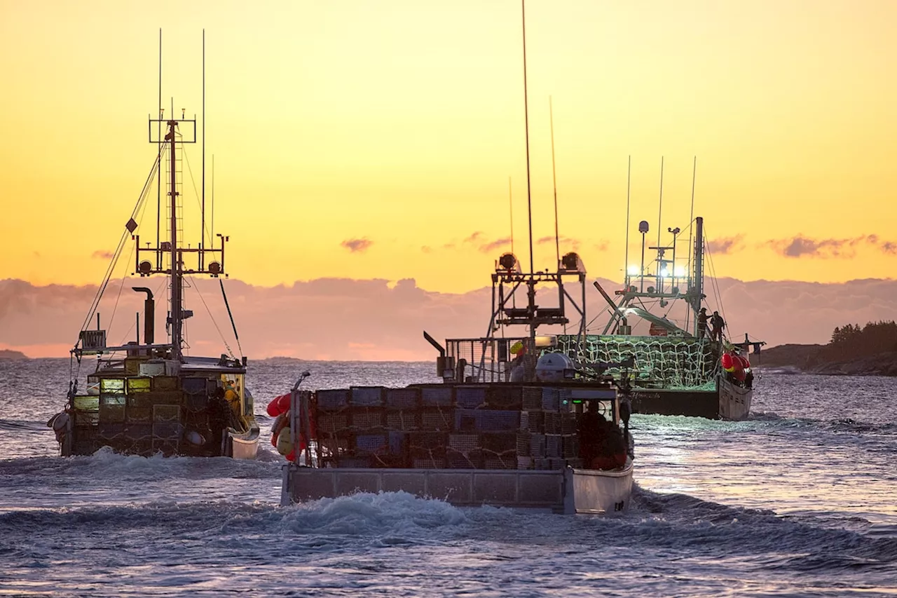 Federal fisheries officers in Nova Scotia refusing some duties because of threats to safety