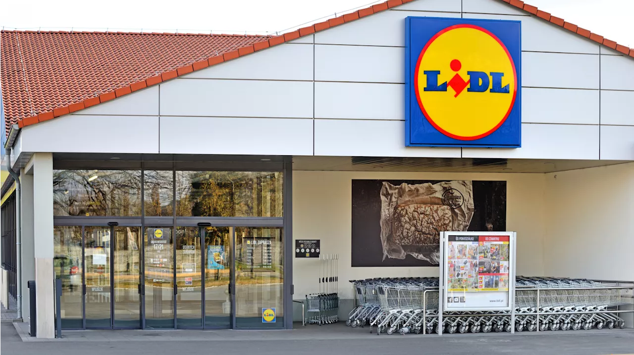 Trend-Schuhe vom Discounter: Bei Lidl findet ihr die perfekten Herbst-Schuhe