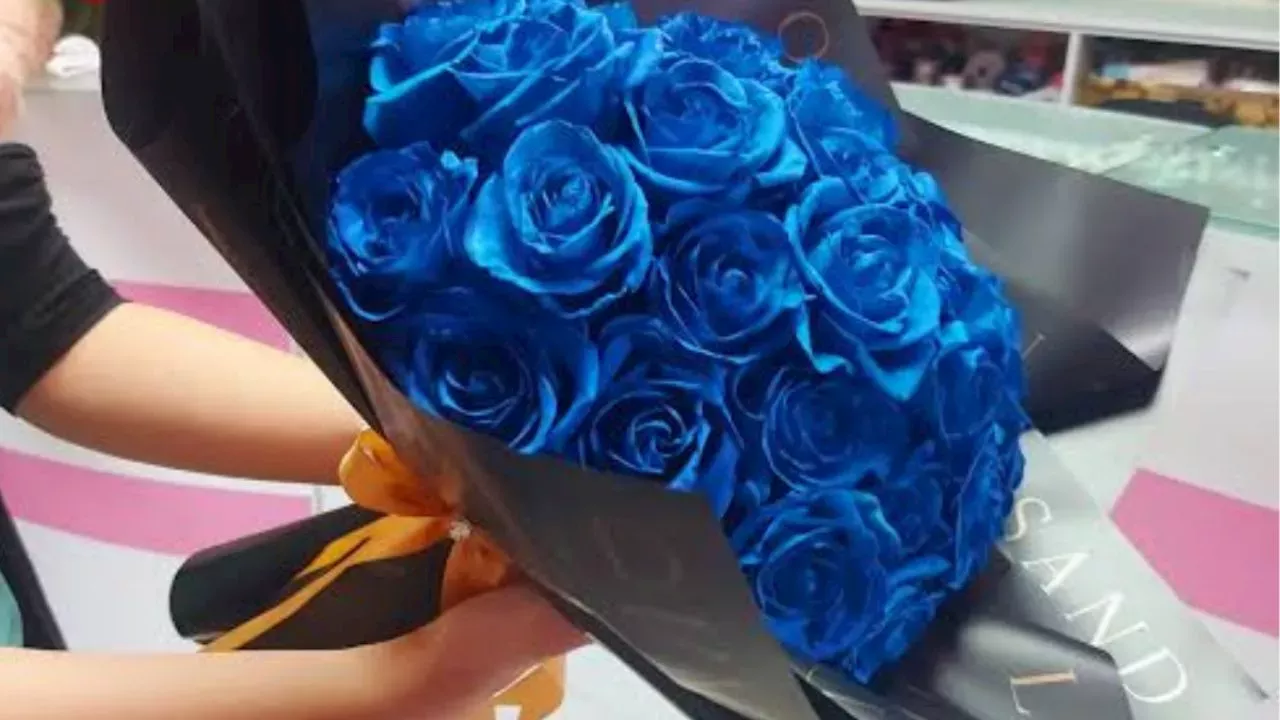 Día del Novio Regala Flores Azules a Tu Pareja Amor Y Relaciones