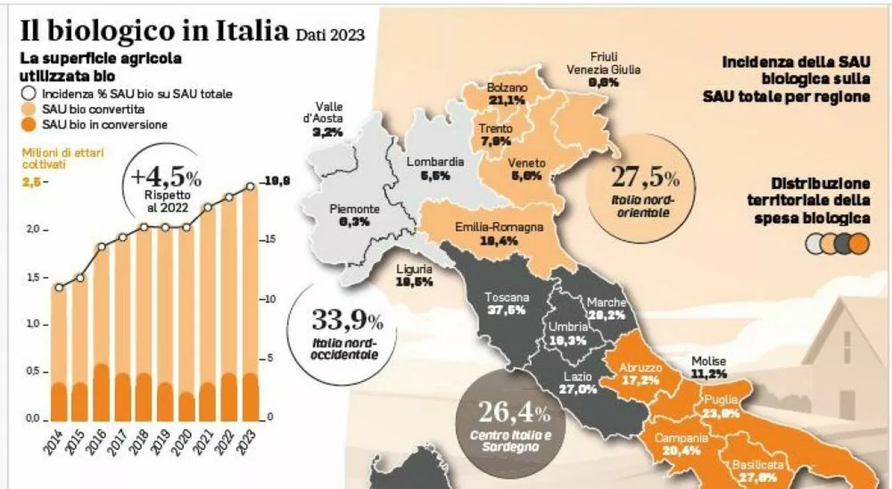 Agricoltura, la sorpresa del biologico: 2,5 milioni di ettari coltivati. Consumi a 3,8 miliardi di euro