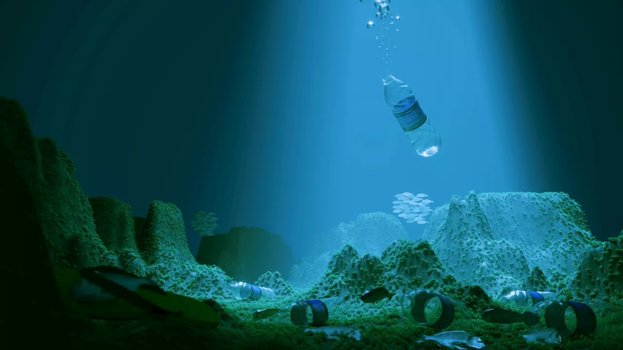 Wastewater Bacteria Found To Break Down PET Plastic
