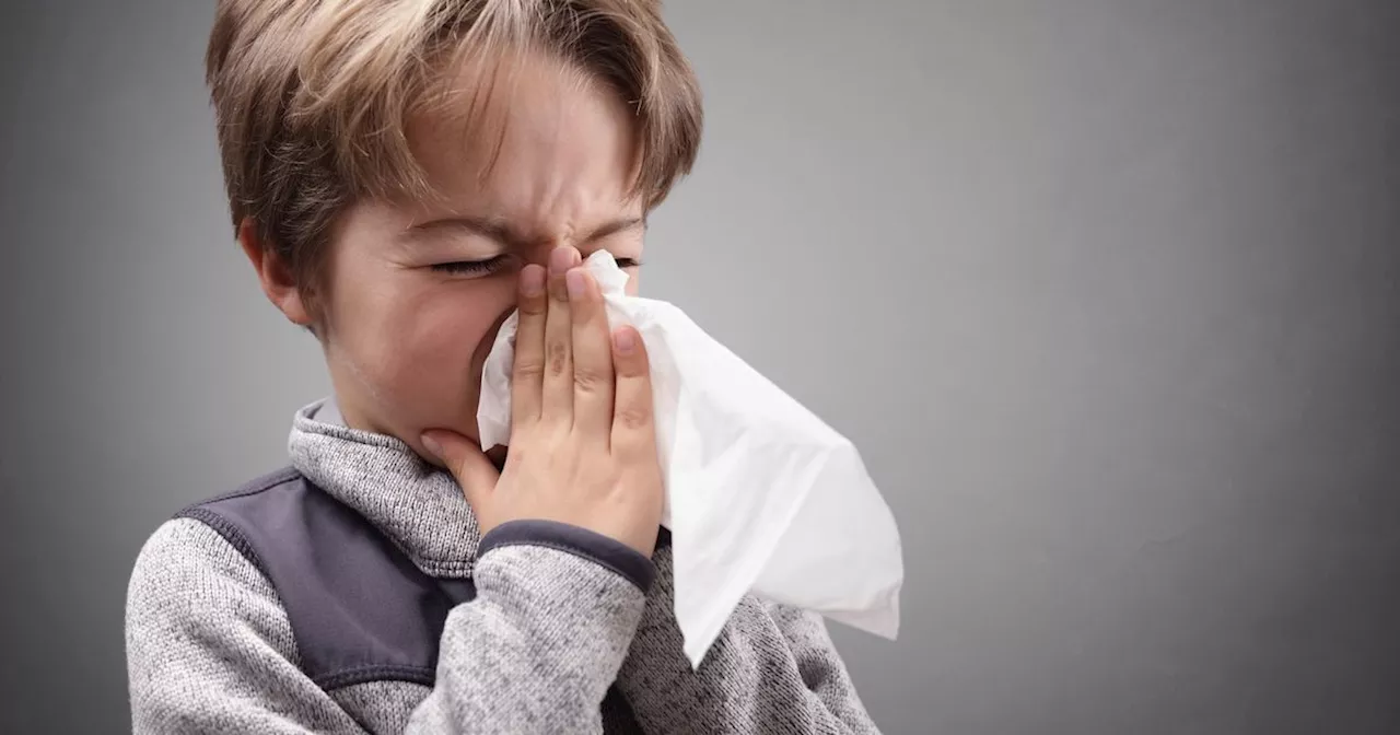 Are colds and flu back with a vengeance?