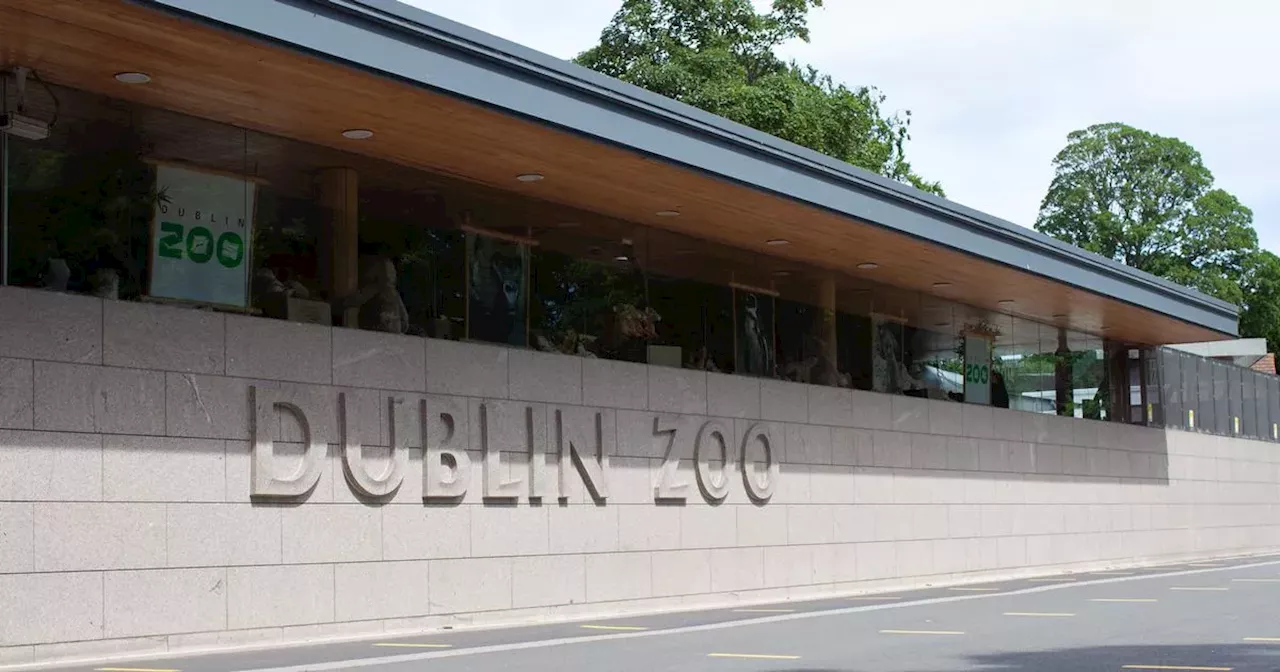 Dublin Zoo announces free tickets for a limited time