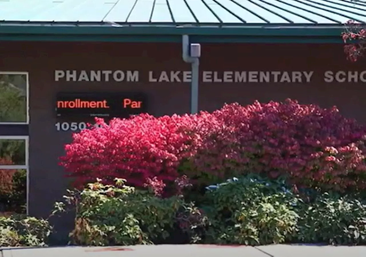 School in Washington State Gets Tagged With Swastika, Principal Calls it a ‘Symbol of Peace’