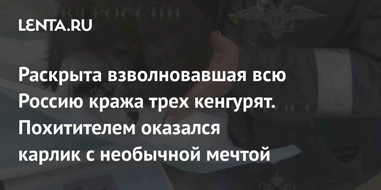 Раскрыта взволновавшая всю Россию кража трех кенгурят. Похитителем оказался карлик с необычной мечтой