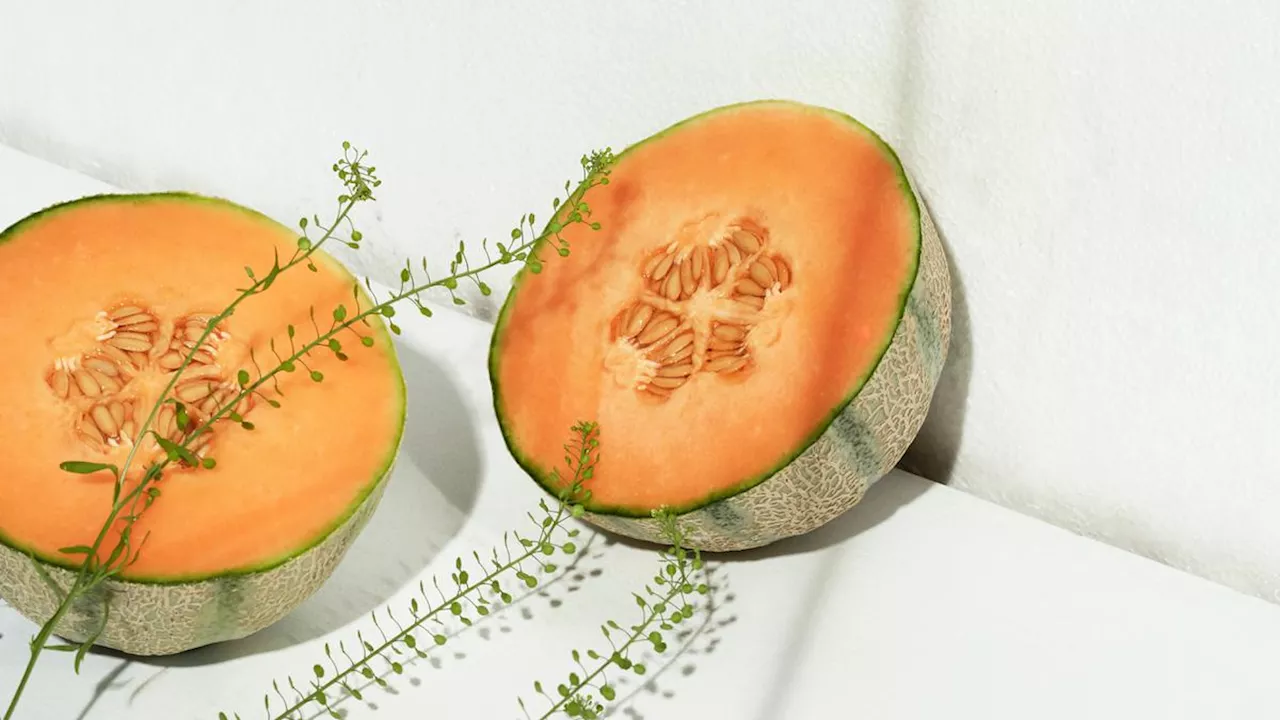 Camilan Sehat, 4 Resep Serba Melon yang Bantu Mengontrol Kolesterol