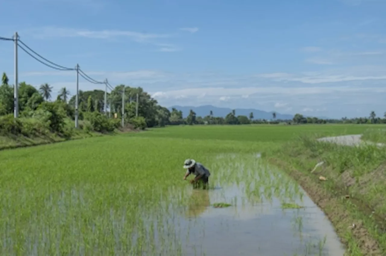 Malaysia's Producer Price Index Declines in 2023