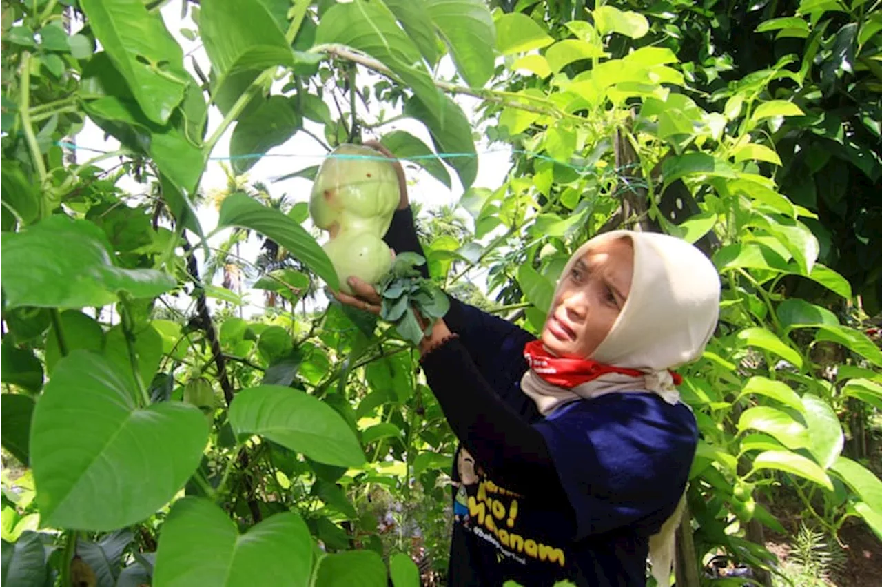 9 Manfaat Buah Markisa bagi Kesehatan, Baik untuk Mata