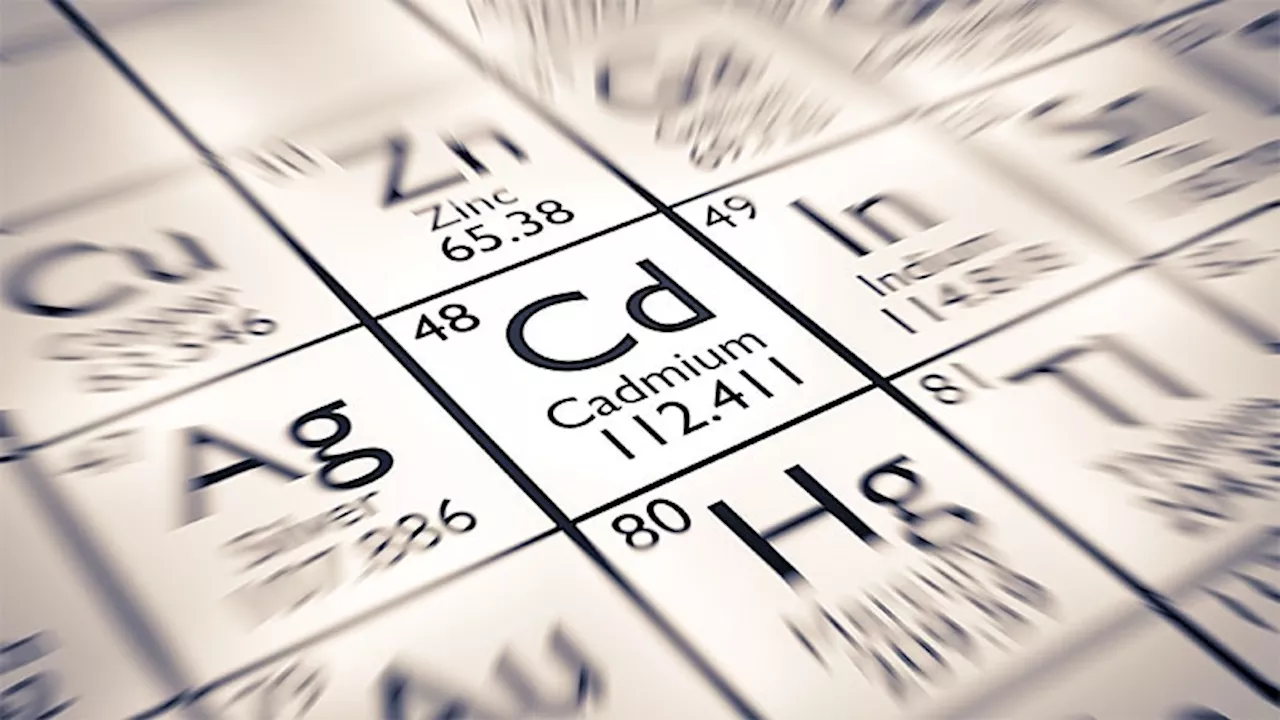 High Cadmium Level Associated With Cognitive Impairment Risk