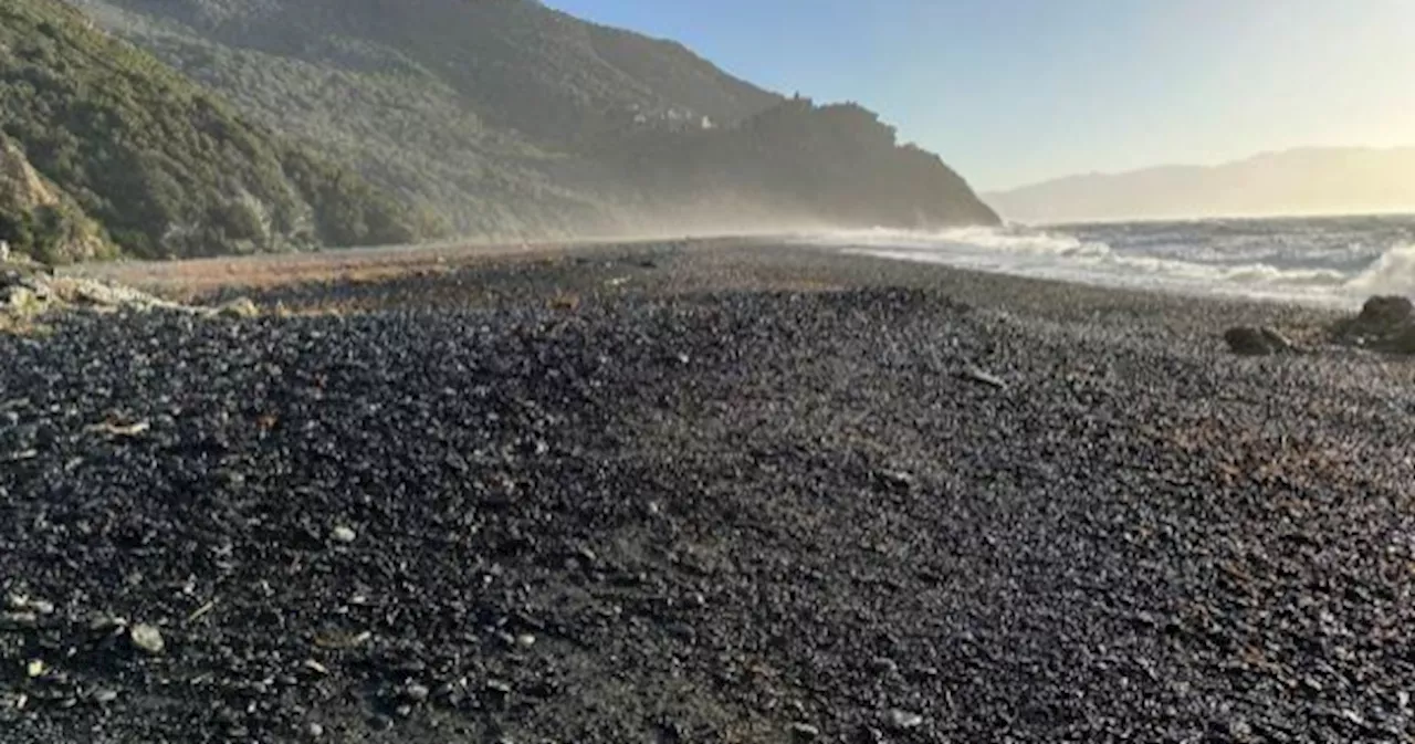 Aurania 'treasure' hunt turns up French nickel beach sand