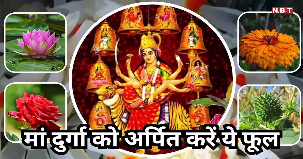 Navratri 2024 : मां दुर्गा को अर्पित करें इनमें से कोई भी एक फूल, माता रानी होंगी प्रसन्न, नवरात्रि खत्म होने से पहले भर देंगी आपके भंडार