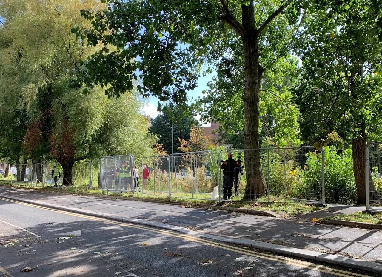 More barriers and fencing removed from Dublin's Grand Canal