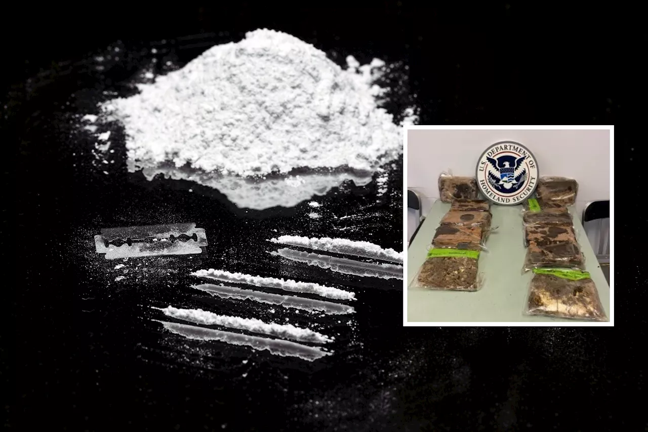 Border Agents Discover $1 Million Cocaine Haul Hidden in Wheelchair