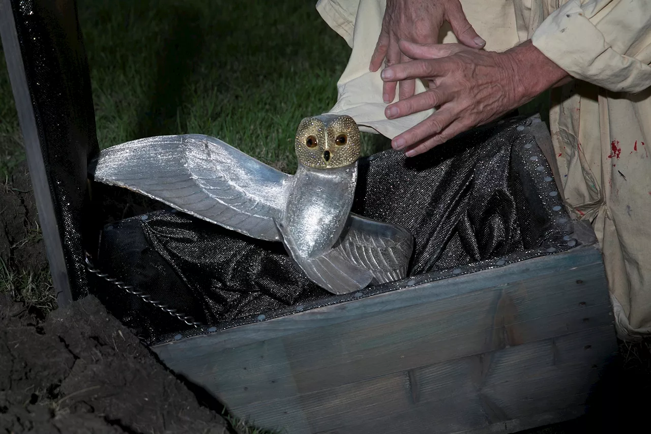 Mystery Solved As Treasure Hunter Finds Golden Owl Hidden for Decades