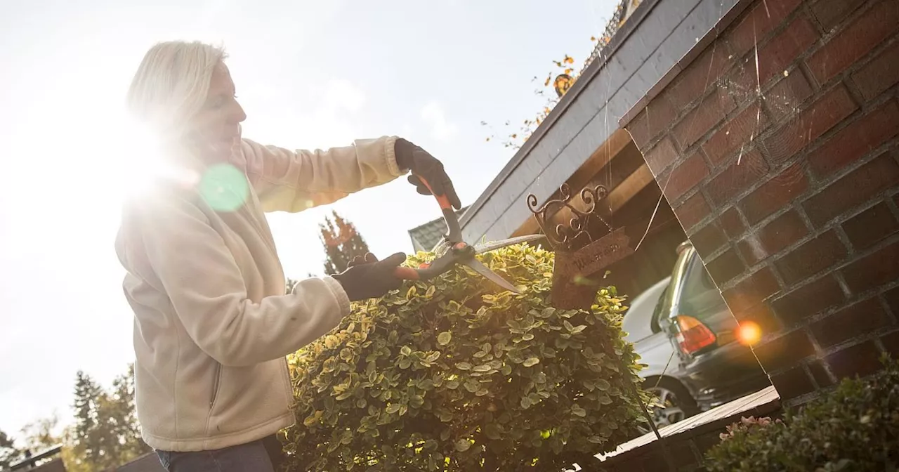 Herbst: Muss ich jetzt zur Gartenschere greifen?