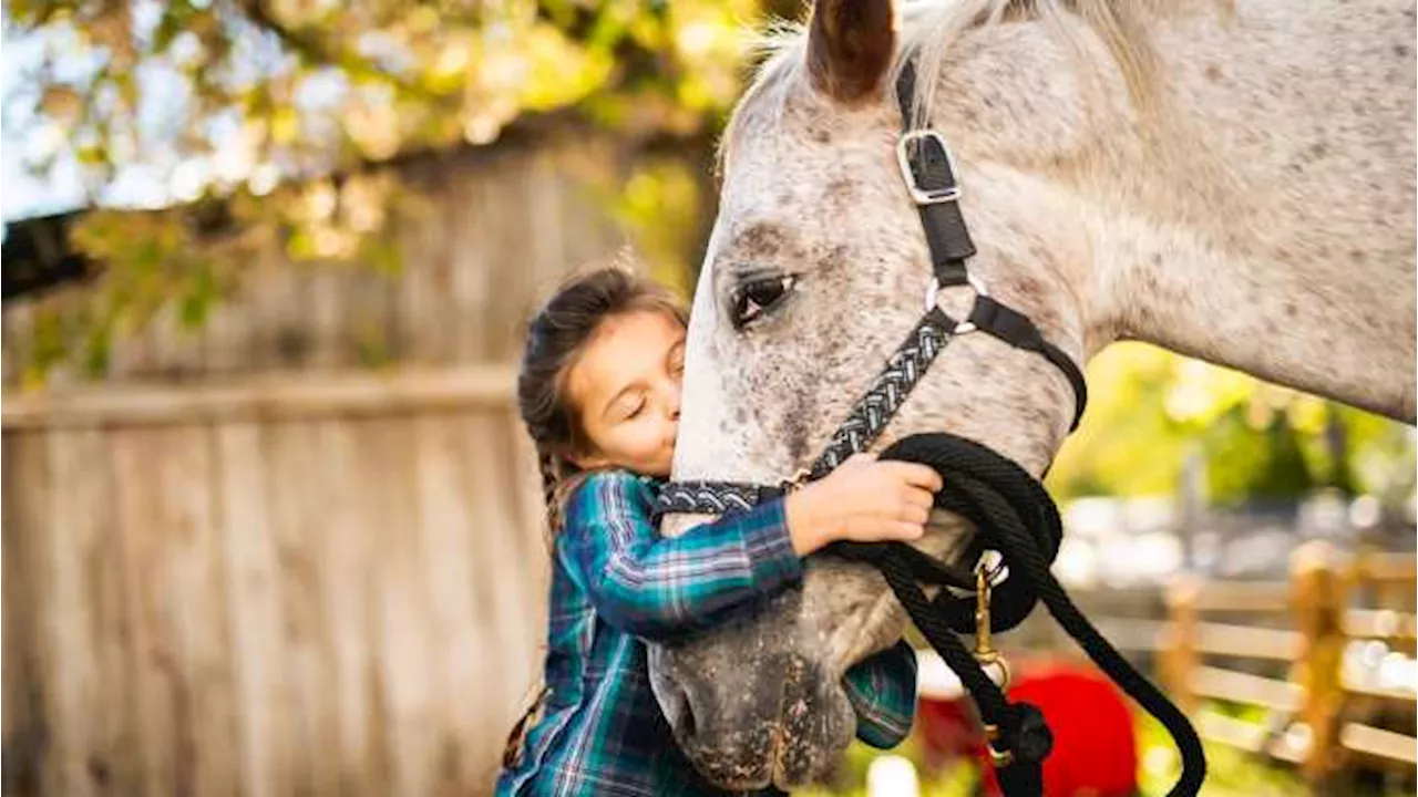 Pet therapy fa bene anche all’intestino dei bambini