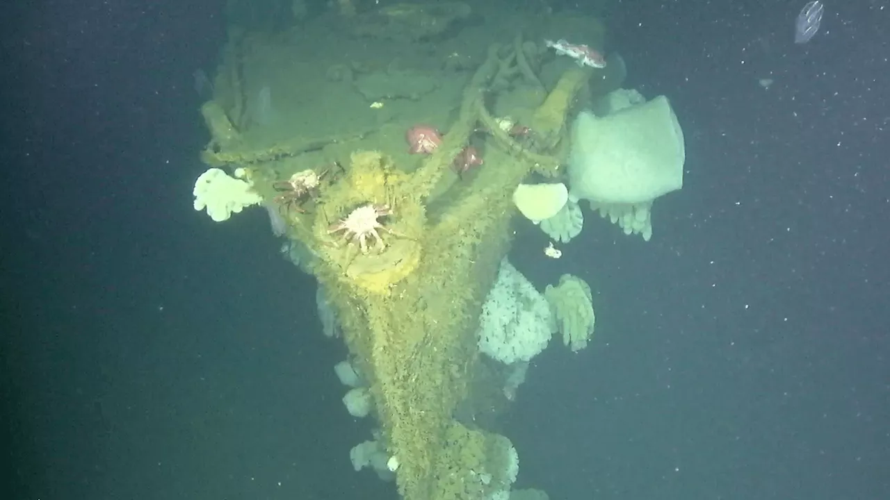 Autonomous Drones Rediscover USS Stewart, World War II 'Ghost Ship'