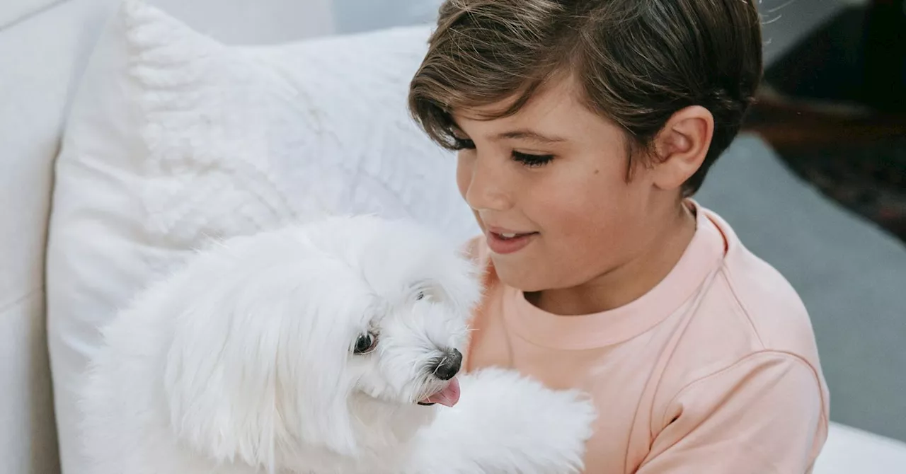 Oxytocin: The Love Hormone Behind Children's Mood Boost From Dog Interactions