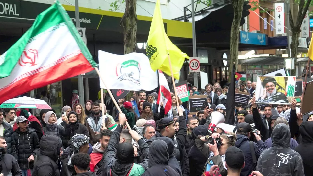 AFP probes nine complaints after Hezbollah flags waved at Victoria rally