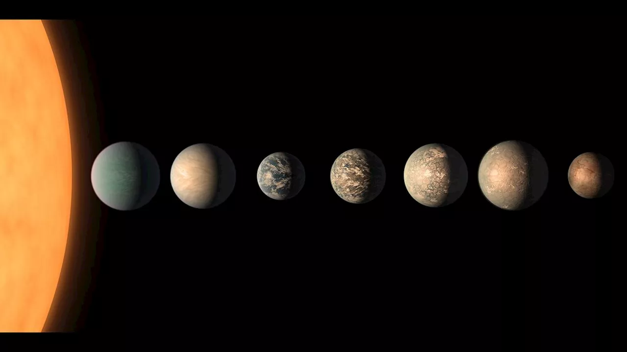 How mass extinctions can help scientists find complex alien life