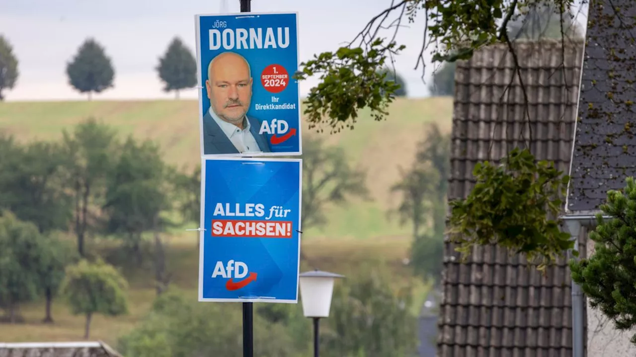 Zwiebelfarm in Belarus: AfD-Abgeordneter soll inhaftierte Oppositionelle beschäftigt haben