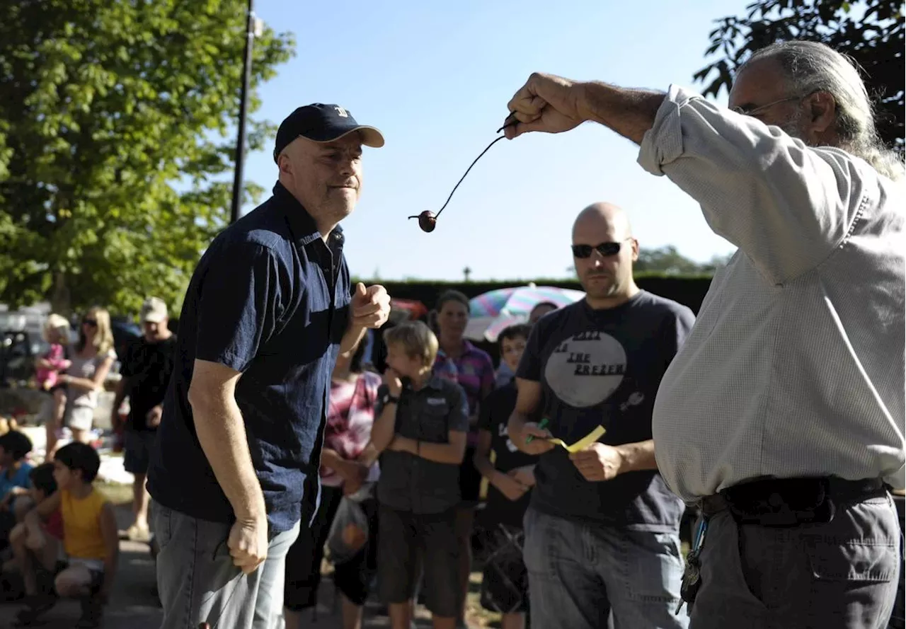 Dordogne : cèpes, conkers, concerts d’orgue… nos idées de sorties pour ce premier week-end d’octobre