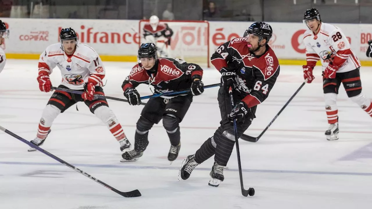 Hockey sur glace (Ligue Magnus) : les Boxers veulent voir plus clair à Nice