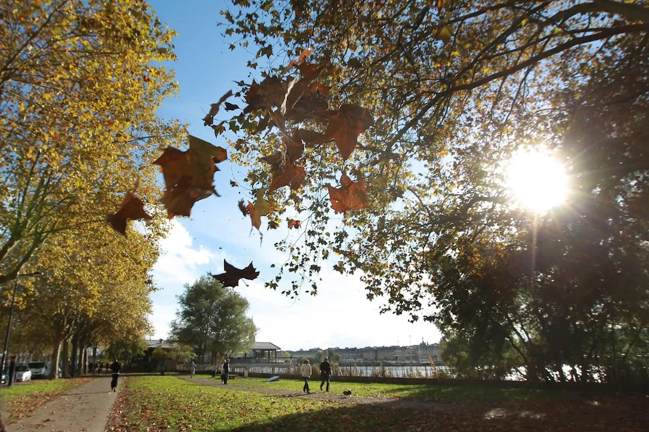 Météo : jusqu’à 28 °C dans le Sud-Ouest, quelles sont les prévisions du week-end ?