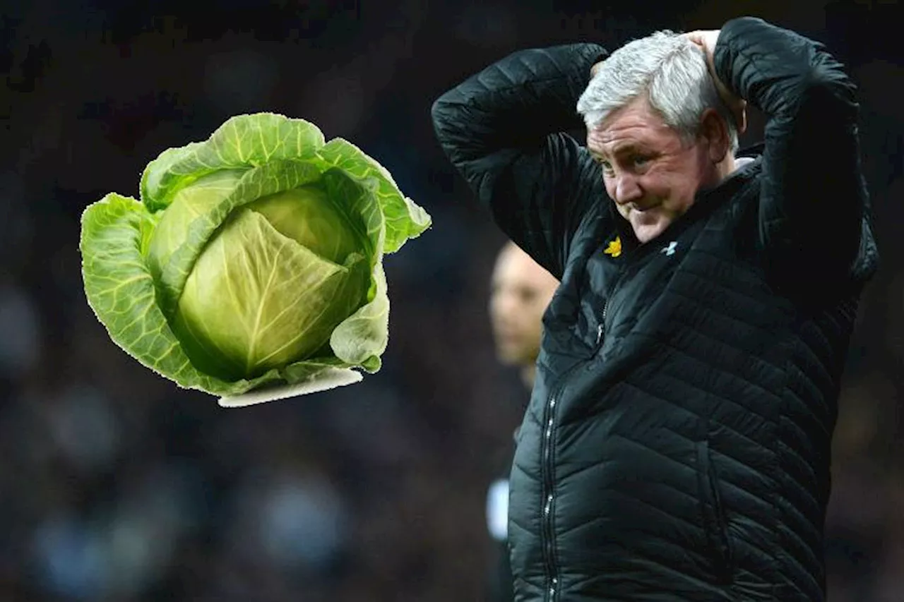 Steve Bruce had cabbage thrown at him after shock Championship draw – now Aston Villa downed European g...