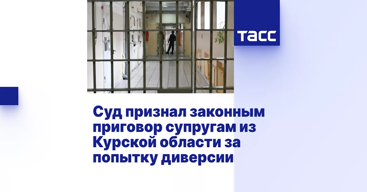 Суд признал законным приговор супругам из Курской области за попытку диверсии