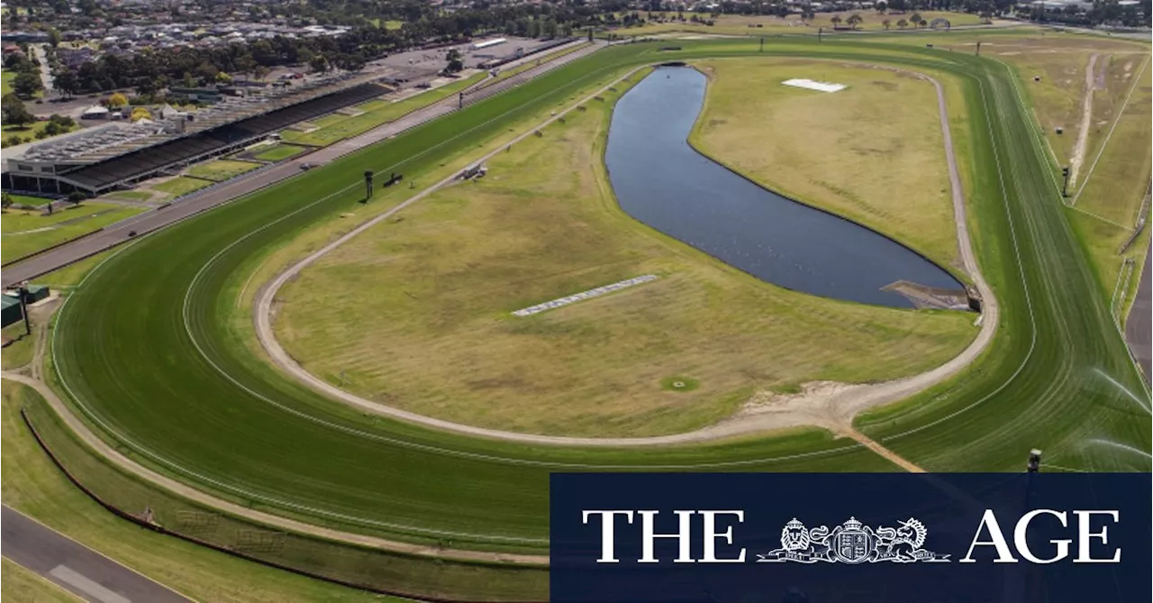 Sandown saved: Why rebel board victory secures iconic racetrack’s future