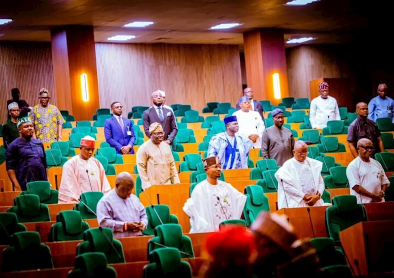 Reps approve Tinubu’s request to refund N24bn to Kebbi, Nasarawa for airport takeover