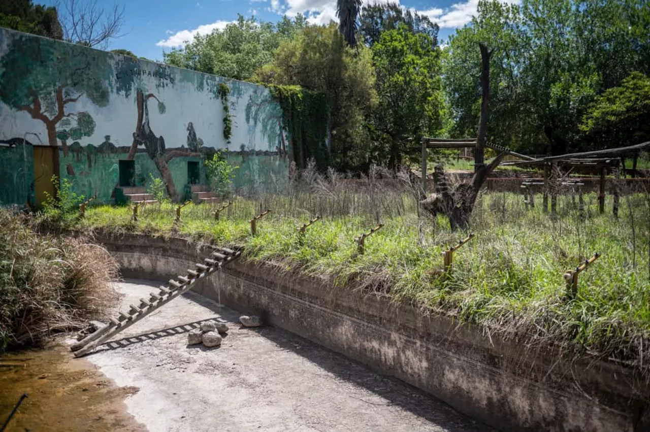 Bloemfontein Zoo Reopening Blocked By Court Over Animal Welfare Concerns