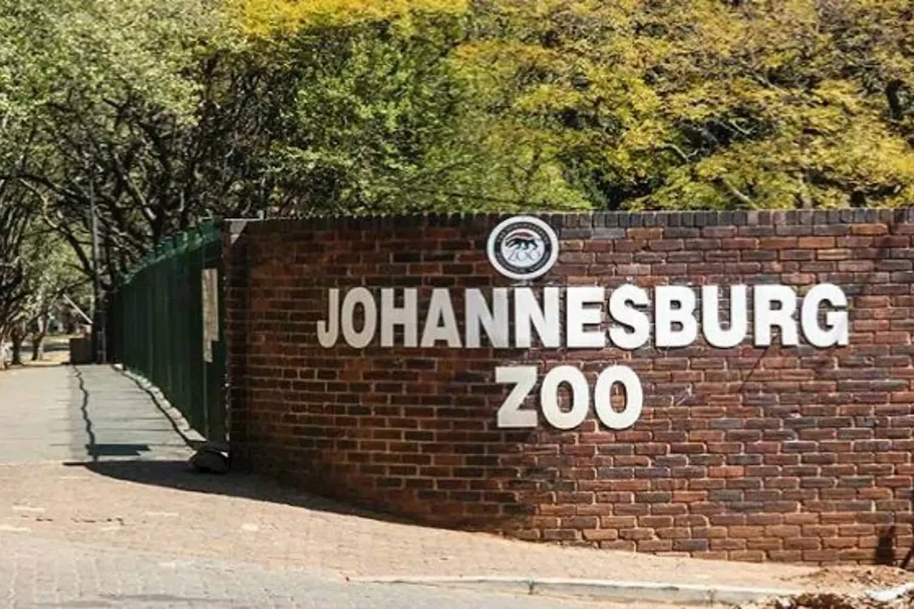 Joburg Zoo offers free access in October: Here’s who qualifies