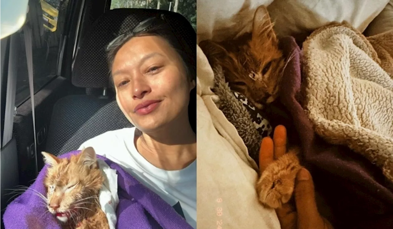 Nabila Huda’s Emotional Farewell To Her Beloved Cat, Aoki, After A 14-Year Bond