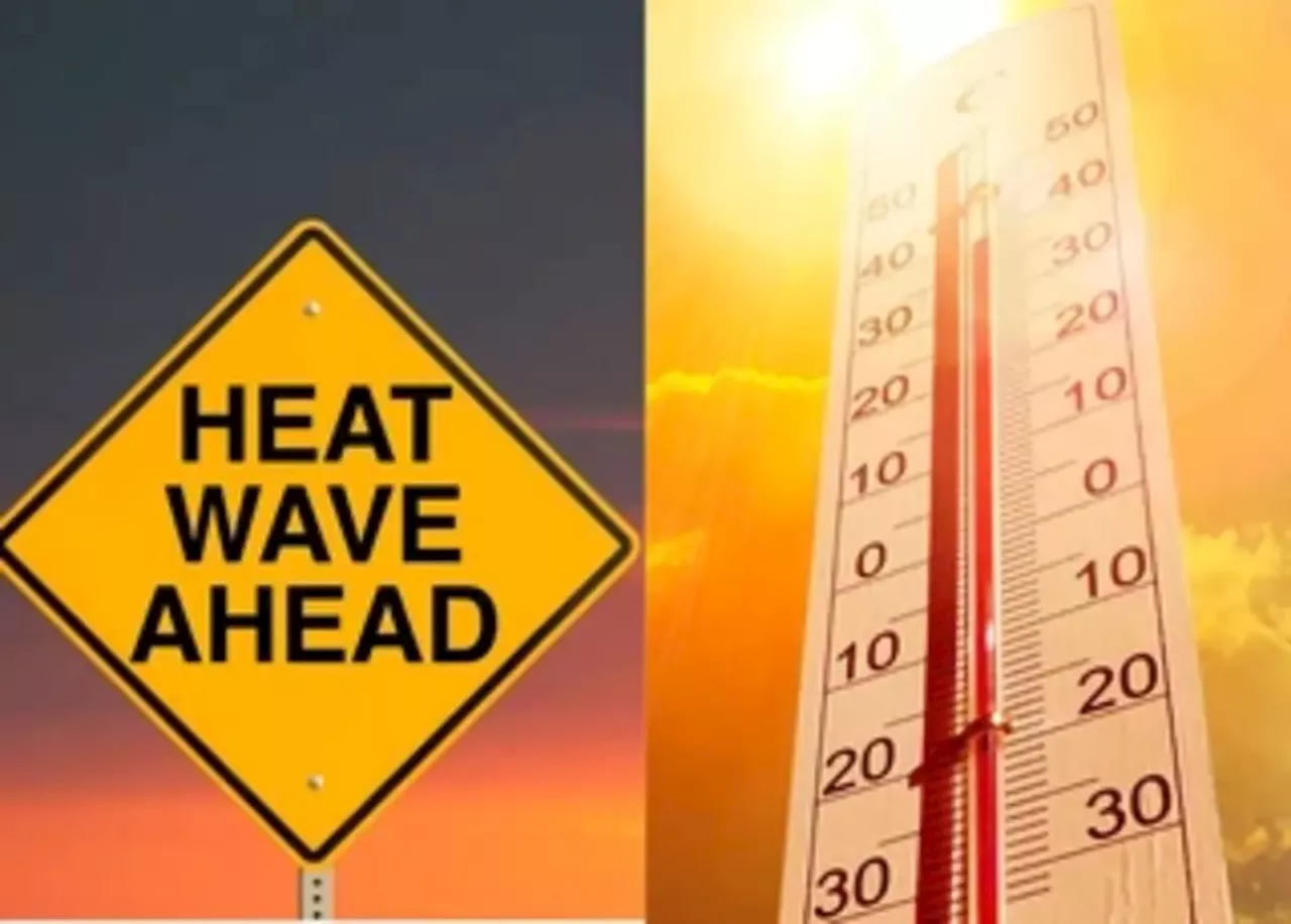 SA Weather Service issues HEATWAVE warning for these TWO provinces