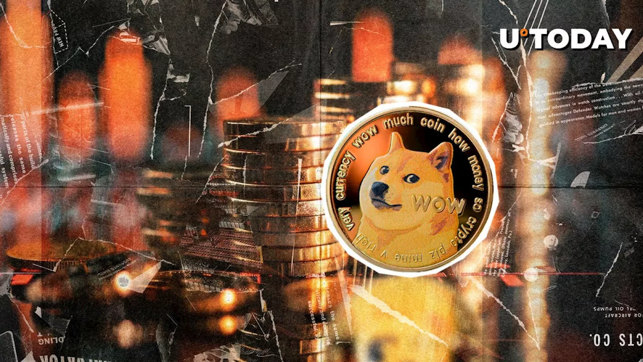 3 Dogecoin (DOGE) Price Levels to Watch After Catastrophic Crash