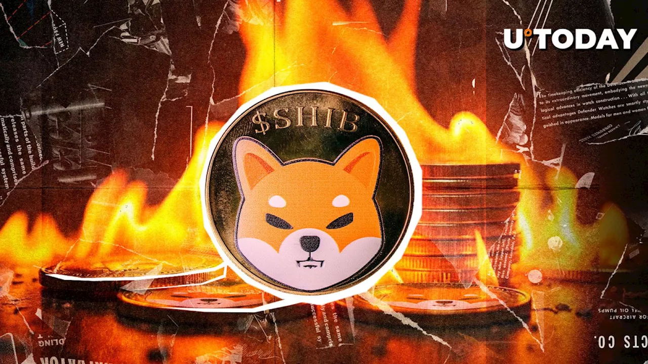 Shiba Inu (SHIB) Burn Rate up 229% as Price Push for Breakout