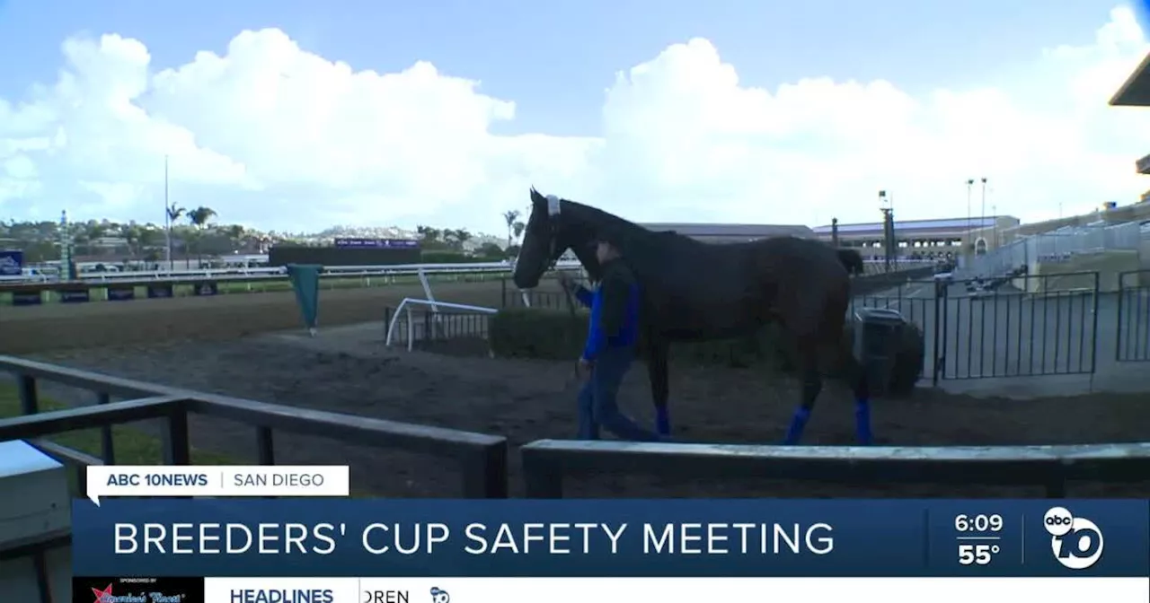 Safety a big topic as Breeders' Cup World Championships in Del Mar approaches