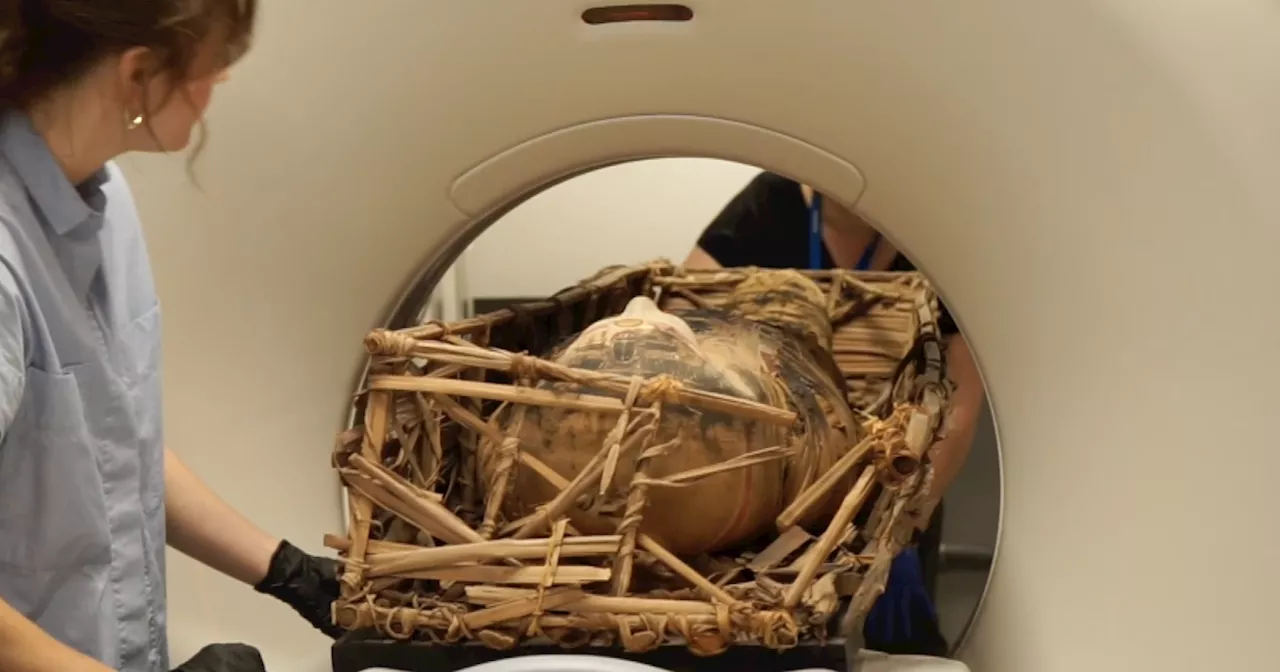 Technology helps museum unwrap the history behind its mummies