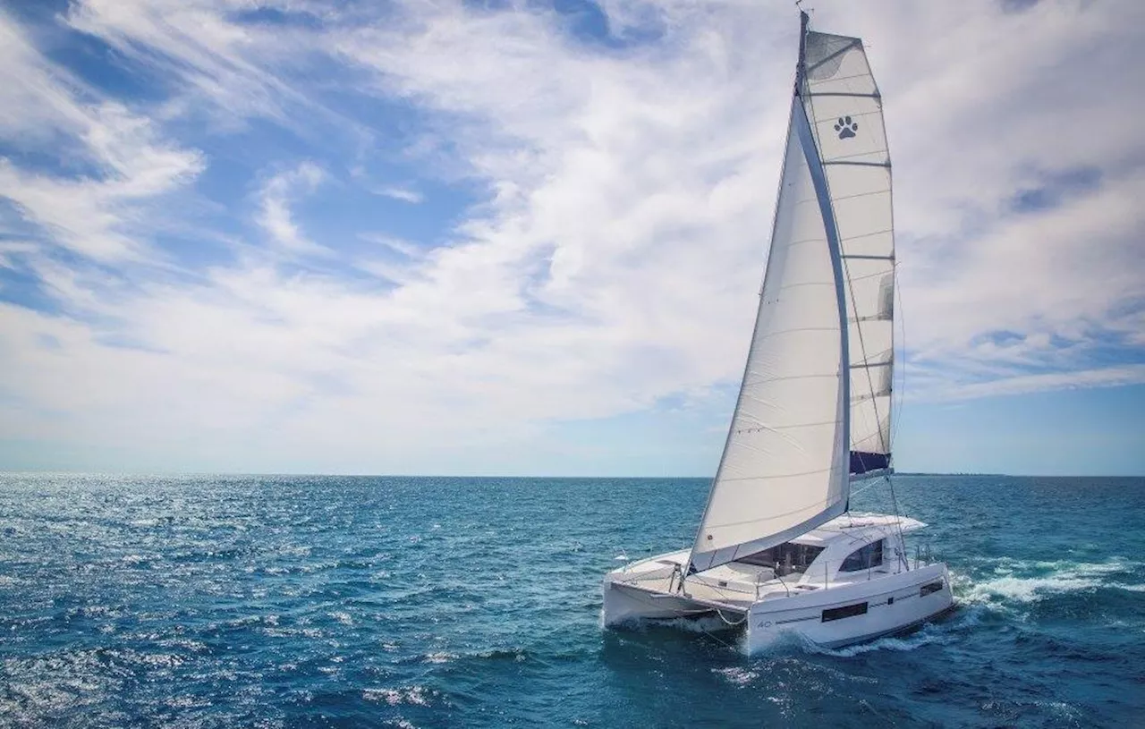 Les Sables-d’Olonne : Un ex-skipper expose un catamaran autonome en énergie