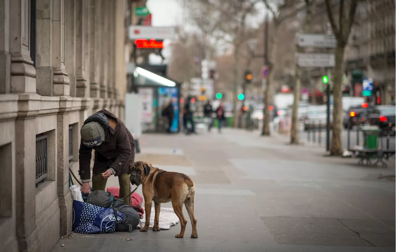 Pauvreté : L’âge moyen de décès des personnes SDF est inférieur à 50 ans