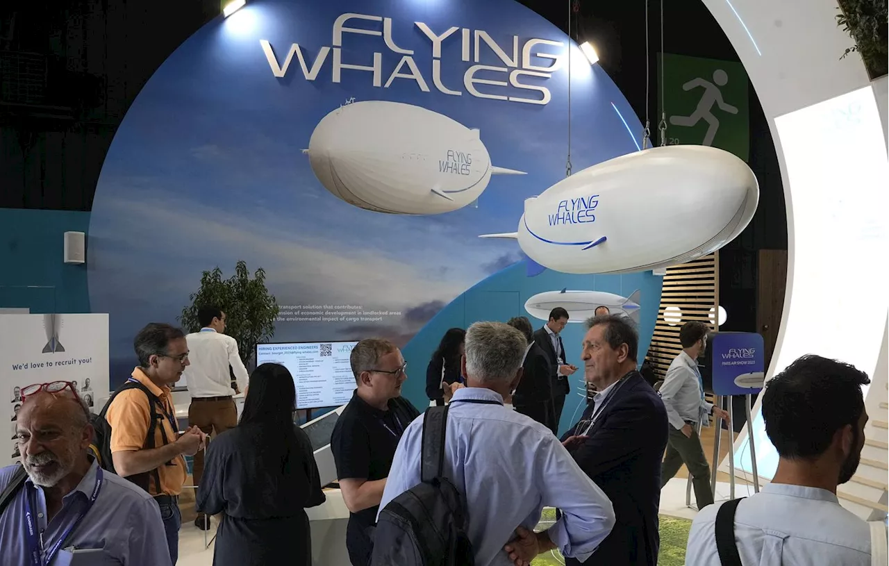 Gironde : L’usine de Flying Whales empiéterait sur « un corridor écologique important » pour l’autorité environnementale